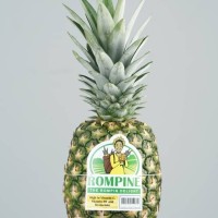 Rompine Pineapple (8pcs per carton)