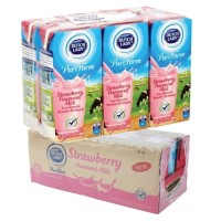 Dutch Lady Strawberry Flavoured Milk 200ml x 24