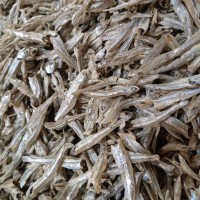 Anchovies Size L 10kg