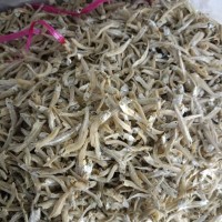 Anchovies Size S 10kg