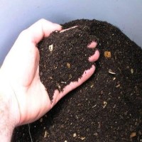 AF- Pure Compost 25kg