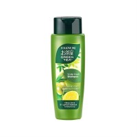 Follow Me Green Tea Scalp Fresh Shampoo 320ml x 12