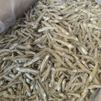 Anchovies Size M 10kg