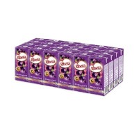 Ribena CORDAIL JUICE  BC CURRENT 300ML x 24